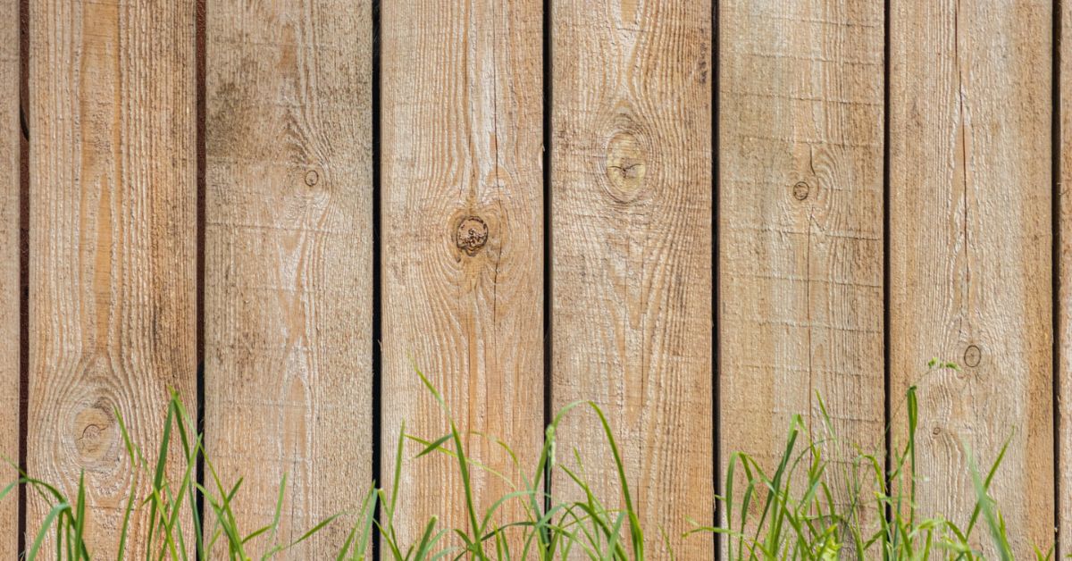 the charming appeal of wooden fences