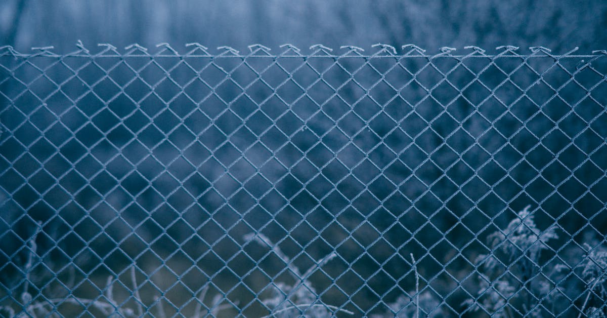 understanding chain wire fence basics