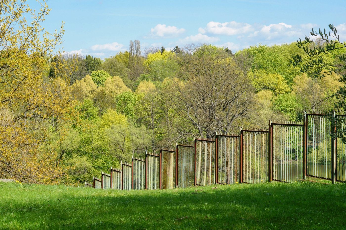 Metal fence in the garden with trees in the background