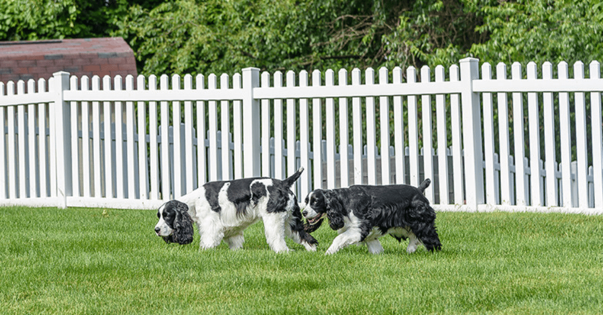 durable vinyl fencing ideal for pet owners